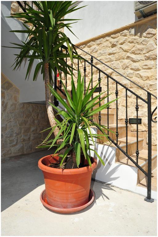 Apartment Cvita