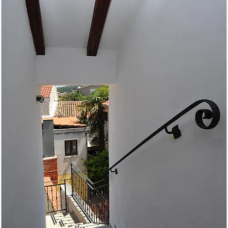 Apartments Cvita Bibinje Exterior photo